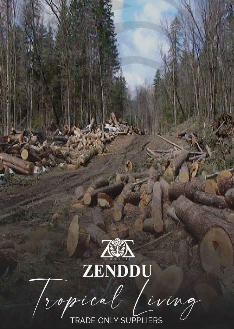 Ilegal logging